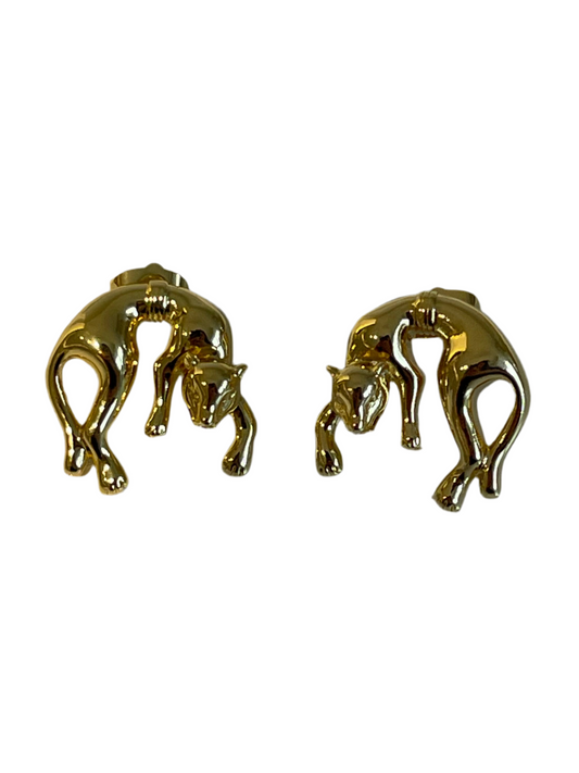 Aretes Panther