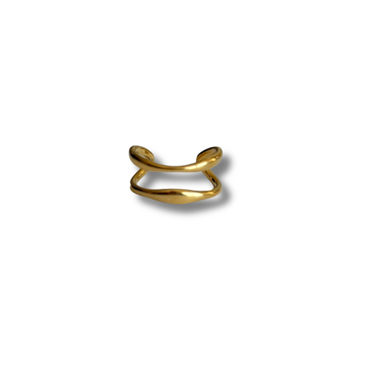 Anillo doble acero