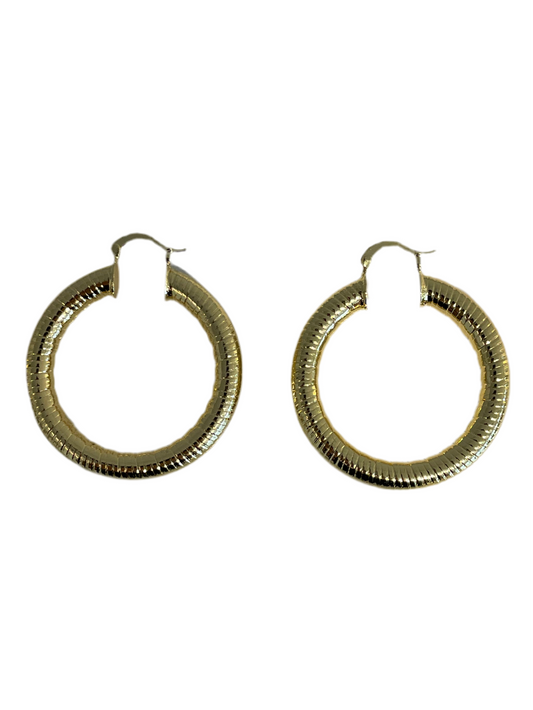 Aretes Nira