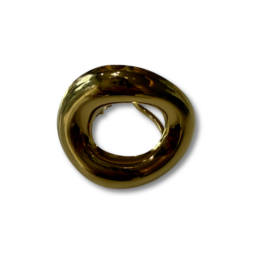 Anillo bruma círculo hueco