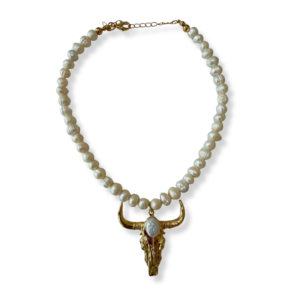 Collar ranch Toro