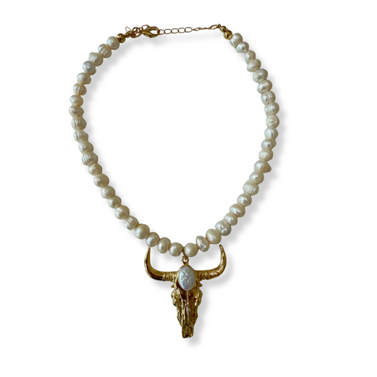Collar ranch Toro