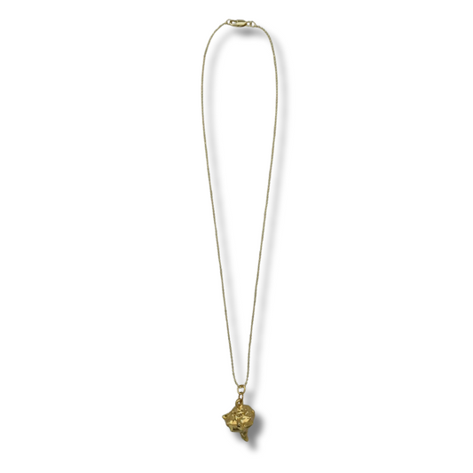 Collar Arrecife