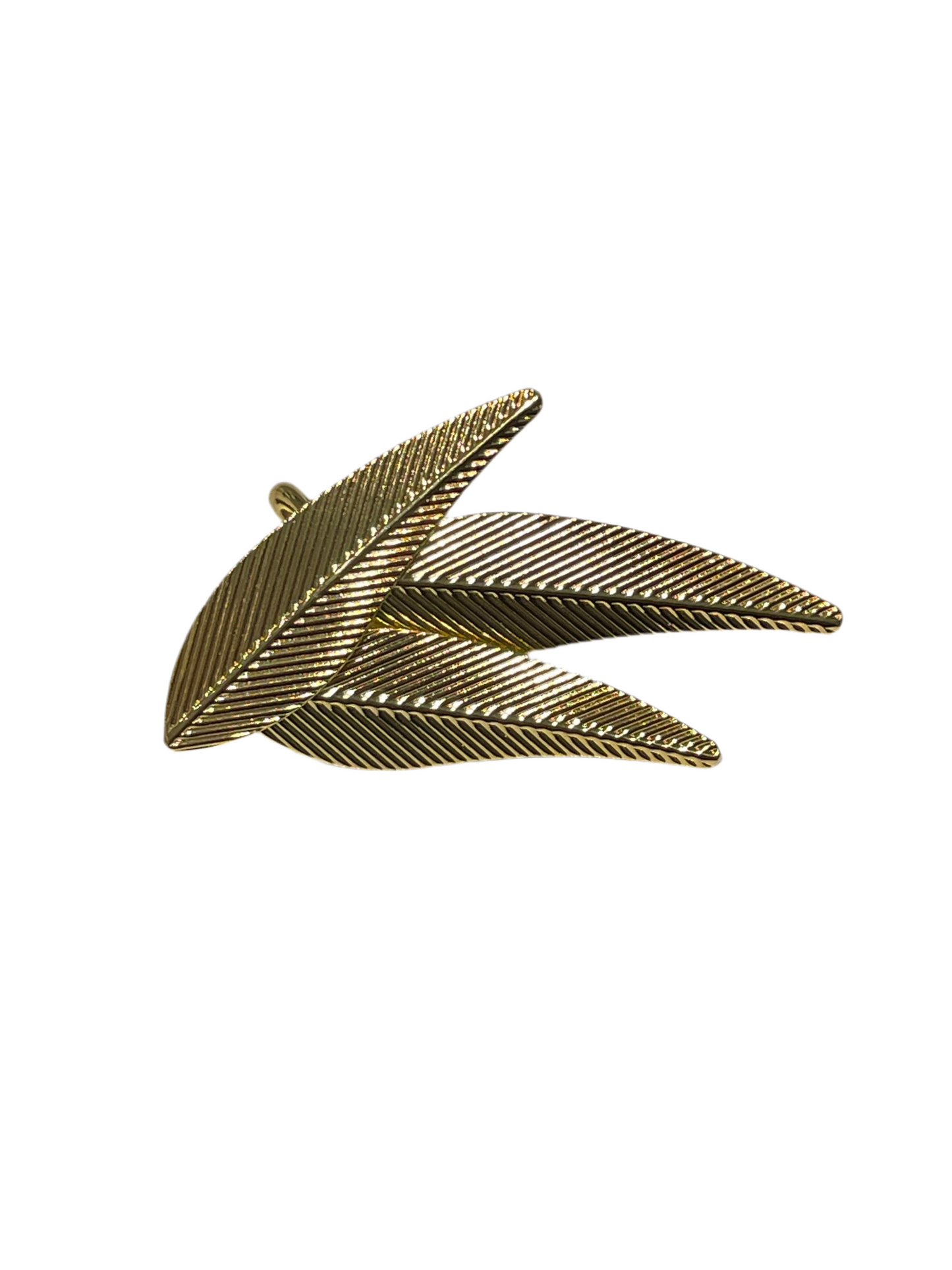Anillo Agave