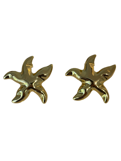Aretes Estrella De Mar