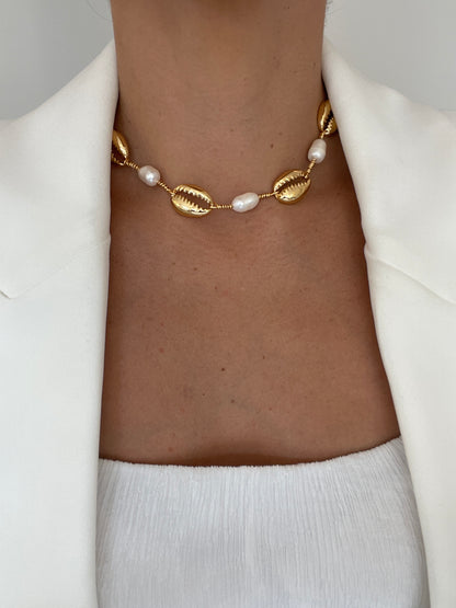 Choker Concha Con Perlas Naturales