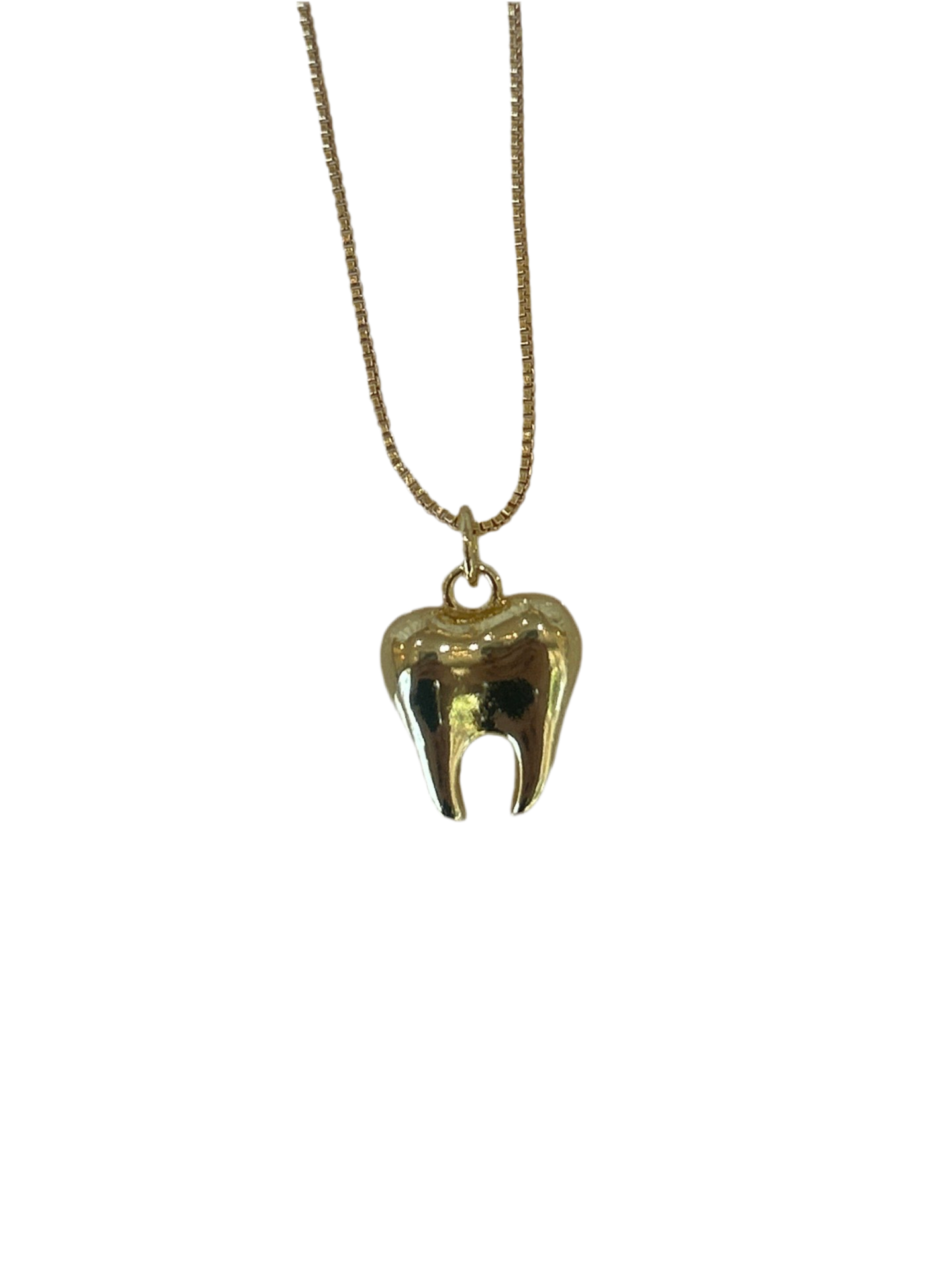 Collar Diente Dorado