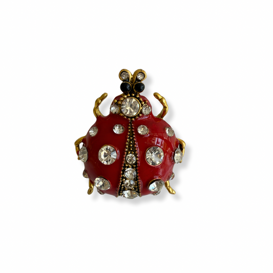 Anillo catarina shine
