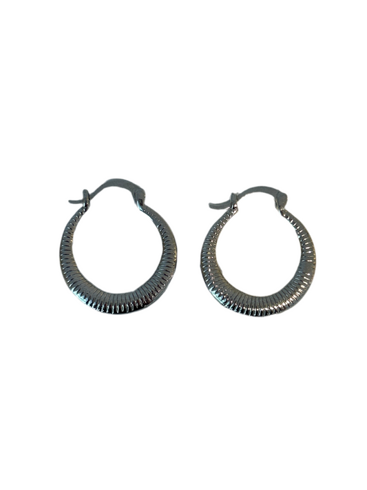 Aretes Herradura Plateados
