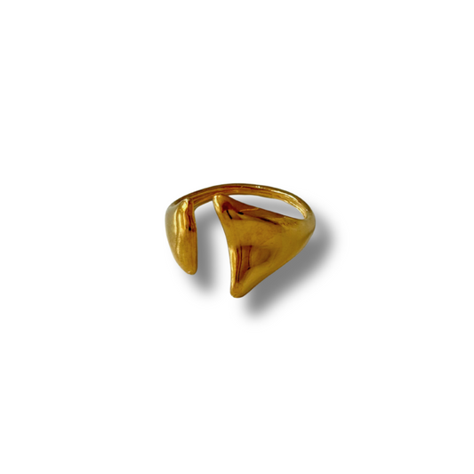 Anillo Abstracto Aelin