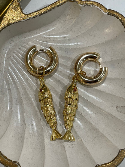 Coqueta Pez Dorados