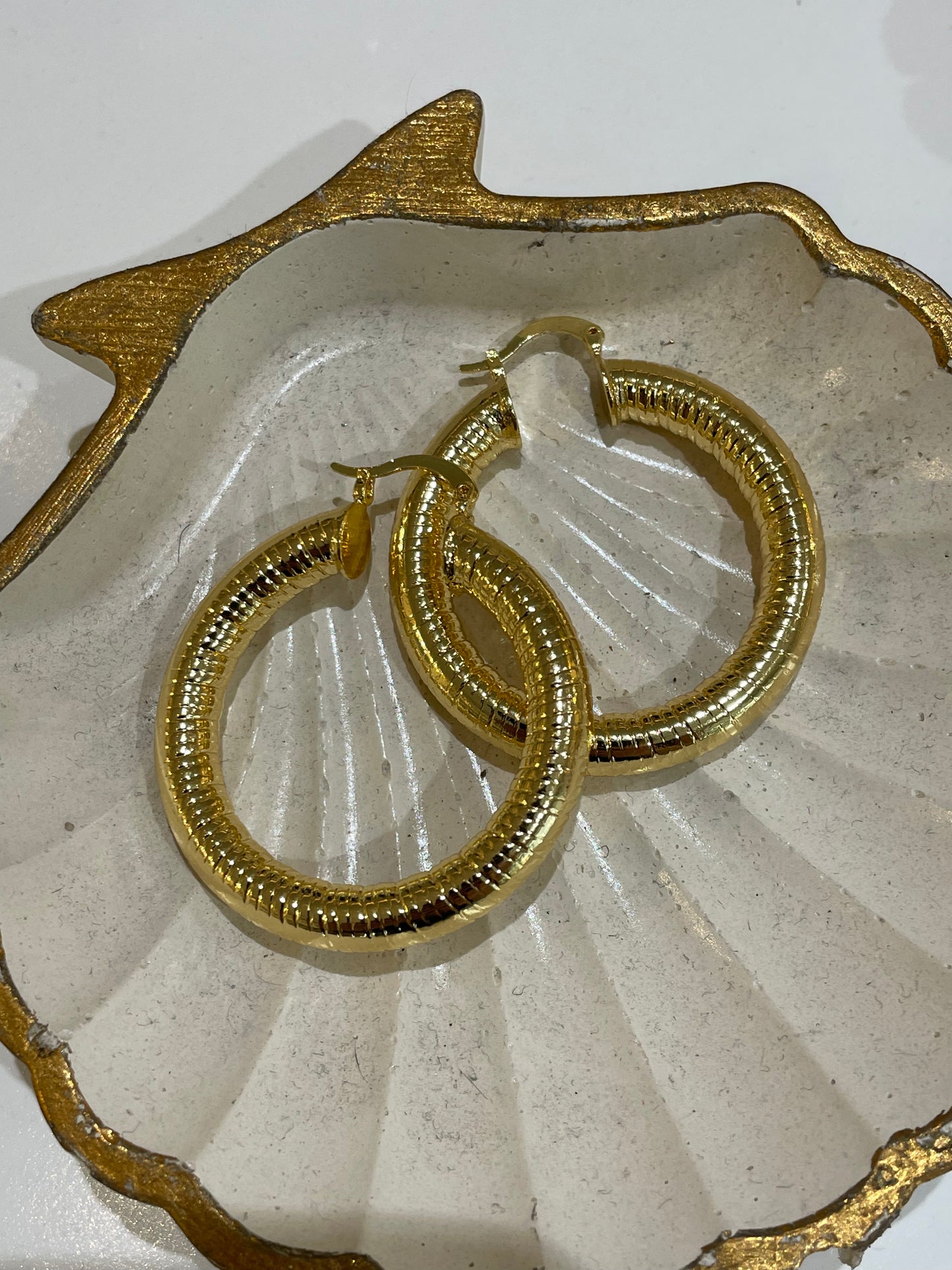 Aretes Nira