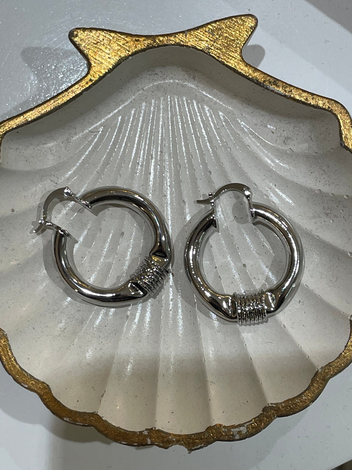 Aretes Noa