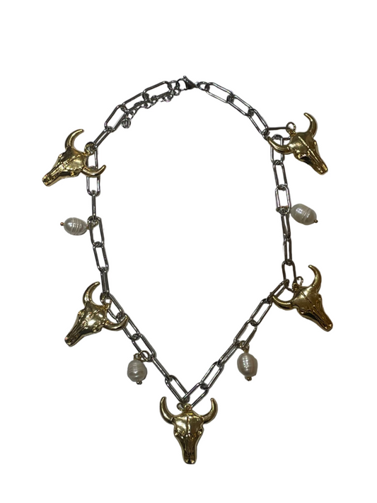 Collar Toro Bicolor
